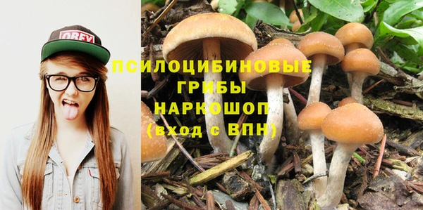 стаф Алексин